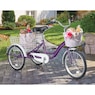 Adult Tricycle with Two Baskets, , large