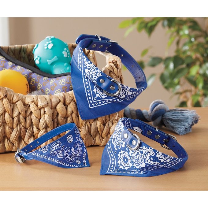 Bandana Pet Collar, , large