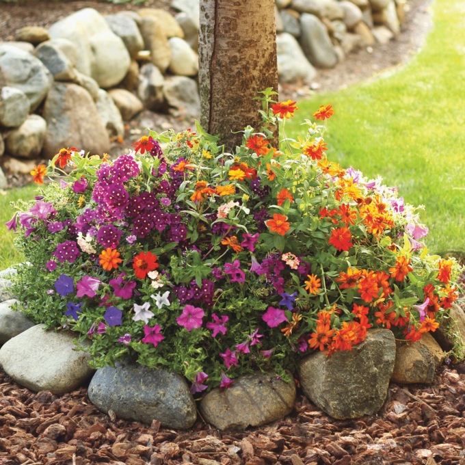 Rollout Flowers Sunny Tree Ring, , large