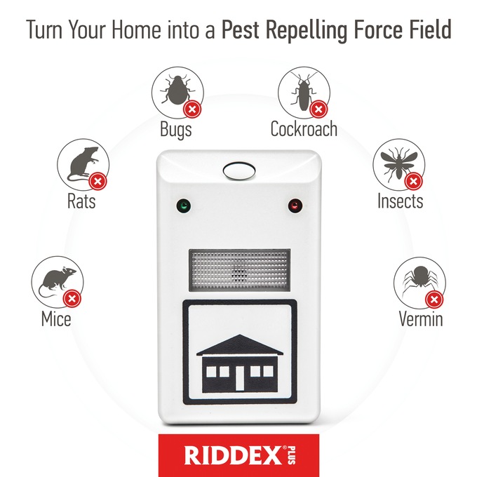 RIDDEX Plus, , large