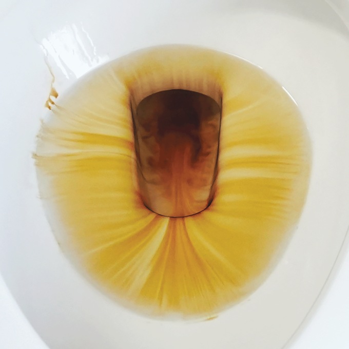 Mer-Maid Toilet Cleaner, , large