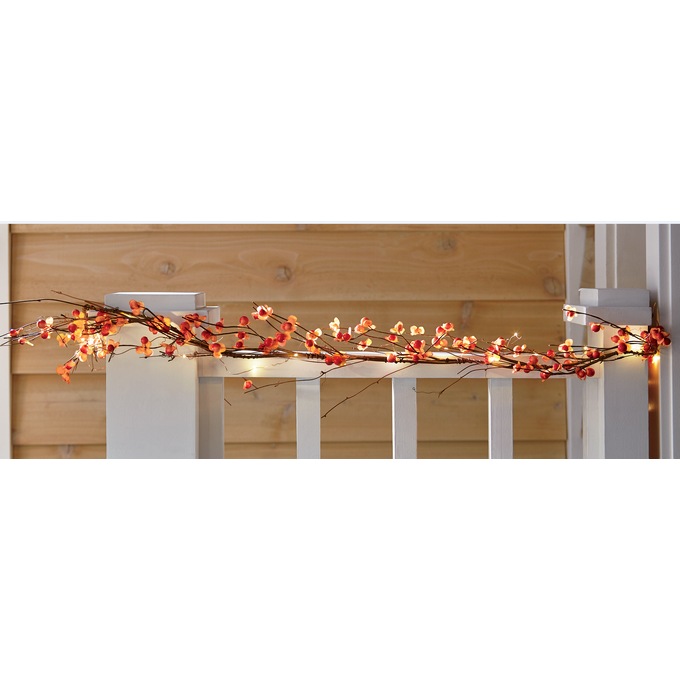 Bittersweet Indoor/Outdoor Lighted Garland, , large