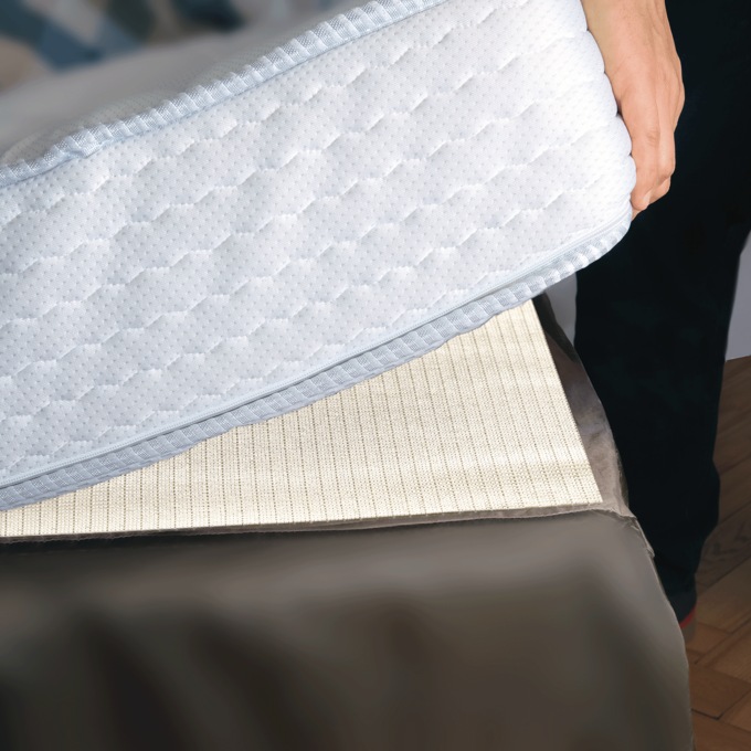 Bedbug Arthropad, , large