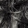 Dark Brown Gray