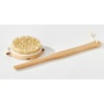 Long Reach Bath Brush, , large