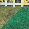 Canada Green&trade; Grass, , large
