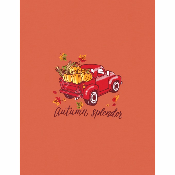 2-Pack Nightshirts, Thankful, large